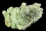Green Prehnite Crystal Cluster - Morocco #108721-1